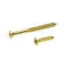 #9 X 1 In. And #9 X 2-1/4 In. Phillips Flat-Head Satin Brass Wood Screws (21-Pack)