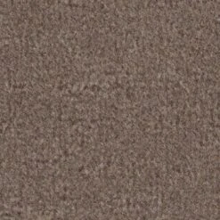 -Daytar Sandstone Plush Carpet Sample (Interior/Exterior)