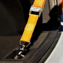 1 In. X 3 Ft. X 100 Lbs. Trunk Tie Down -arbor Shop 84750bf89f1012d515d6f9dc9d1f1690