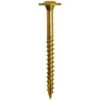 #8 In. X 3-1/8 In. Star Drive Low Profile Washer Head Cabinet Wood Screw (50-per Pack)