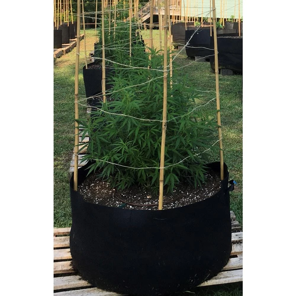 1.5 Cu. Ft. Organic Southern Hemp Potting Soil 4 1.5 Cu. Ft. Organic Southern Hemp Potting Soil - Image 4