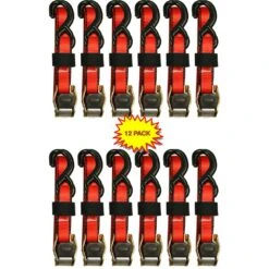Everest 1 In. X 10 Ft. Red Cam Buckle 900 Lbs./S-Hook (12-Pack)