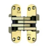 1-1/8 In. X 4-5/8 In. Satin Brass Invisible Hinge