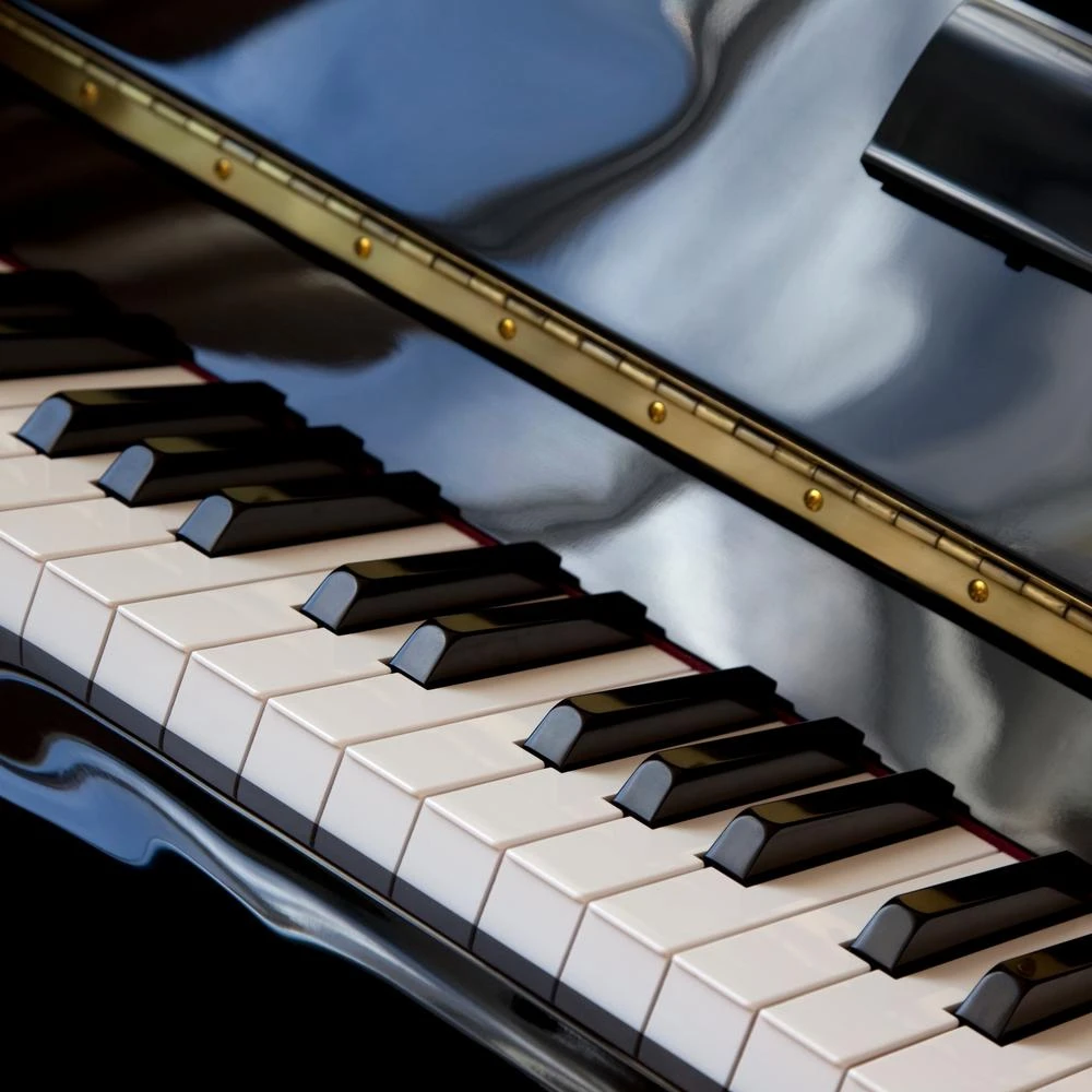 1-1/16 In. X 12 In. Bright Nickel Continuous Hinge 2 1-1/16 In. X 12 In. Bright Nickel Continuous Hinge - Image 2