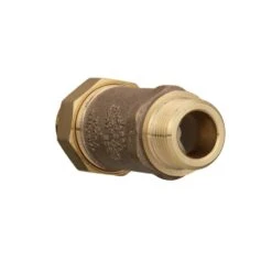 1 In. Union FMTC Inlet X 1 In. MMTC Outlet Lead-Free Bronze Dual Check Valve -arbor Shop eeef2073ca0f520c3531b667c8bd3107